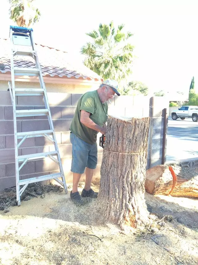 A Cut Above Tree Service