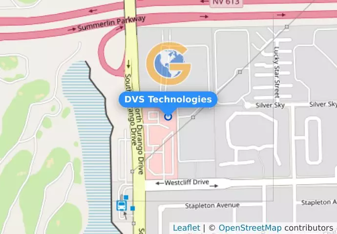 DVS Technologies