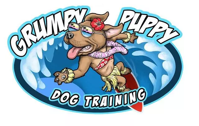 Grumpy Puppy Dog Psychology & Behavior