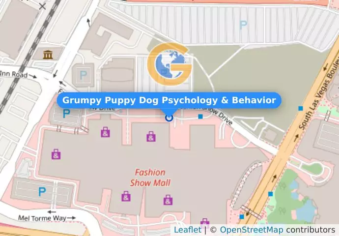 Grumpy Puppy Dog Psychology & Behavior