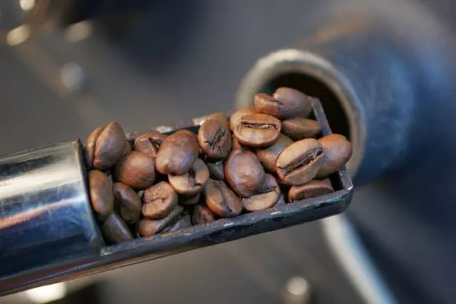 Sambalatte