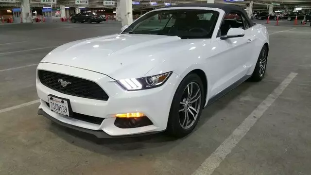 Alamo Rent A Car