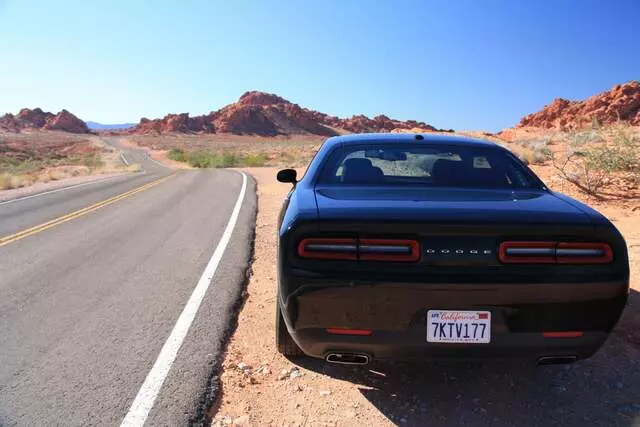 Alamo Rent A Car