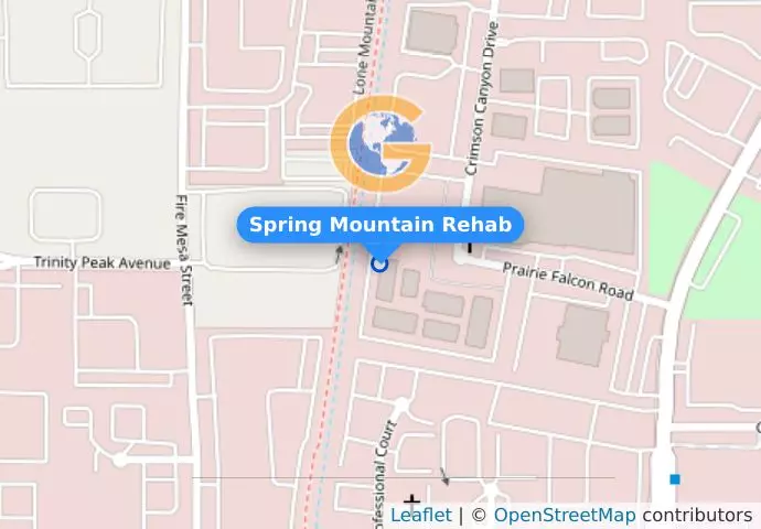 Spring Mountain Rehab