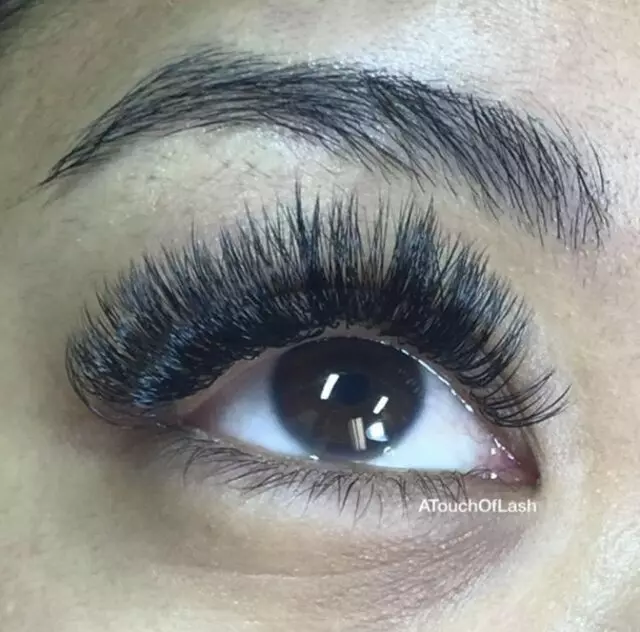 A Touch of Lash