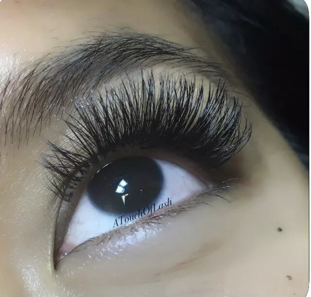 A Touch of Lash