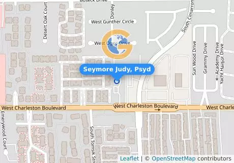 Seymore Judy, Psyd