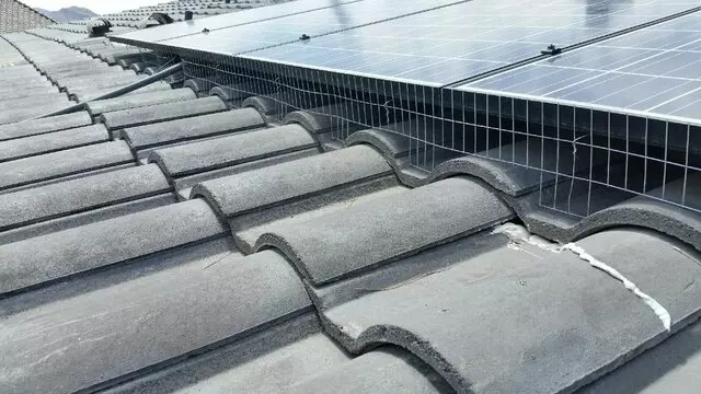A Better Day Pigeon Control