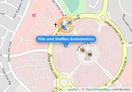 Fife and Steffen Endodontics