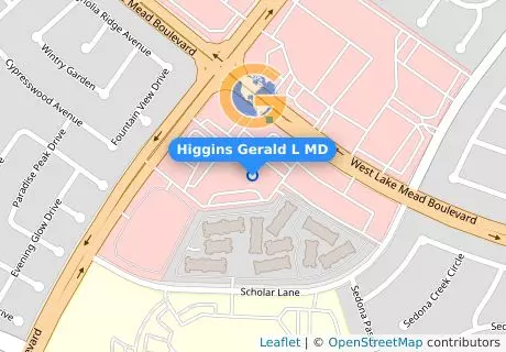 Higgins Gerald L MD