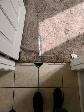 The Clean Up Crew