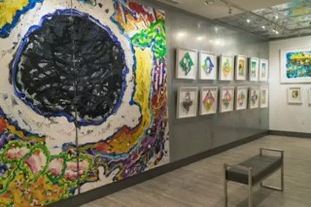 Animazing Gallery