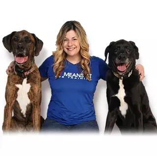 Sit Means Sit Dog Training