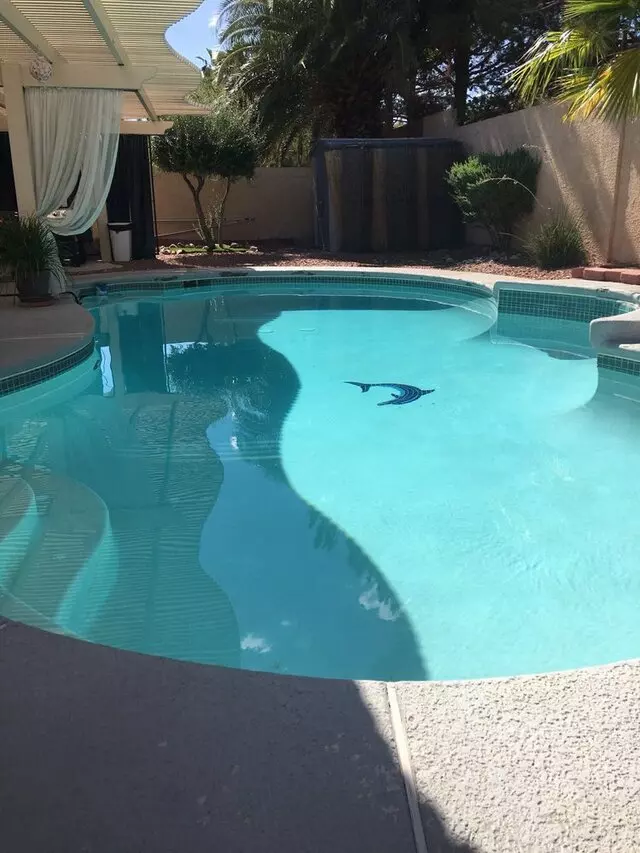 Alchemist Pool Service