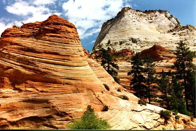 Adventure Sightseeing Tours