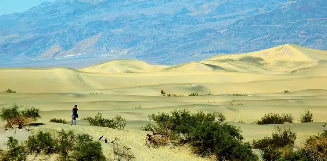 Adventure Sightseeing Tours