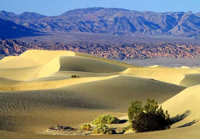 Adventure Sightseeing Tours