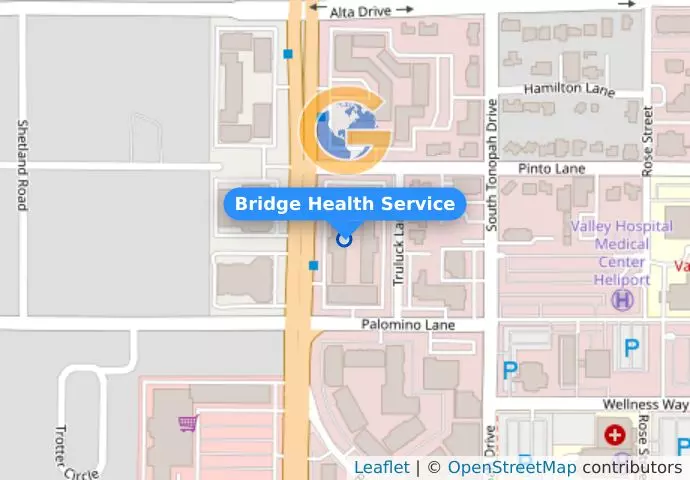 Bridge Health Service