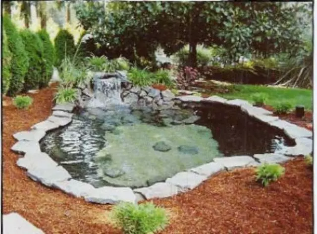 Advanced Gardening Service
