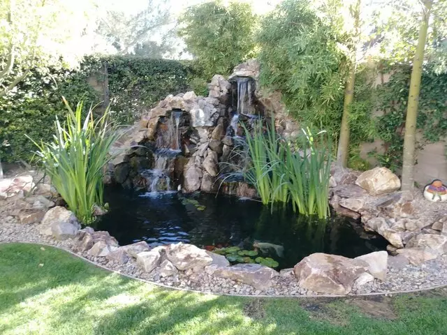 Advanced Aquascape