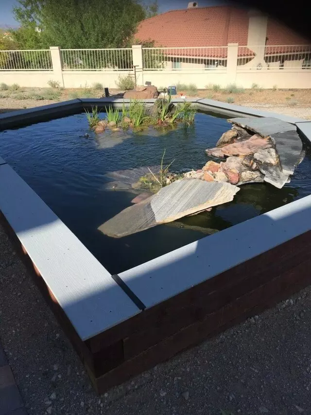 Advanced Aquascape