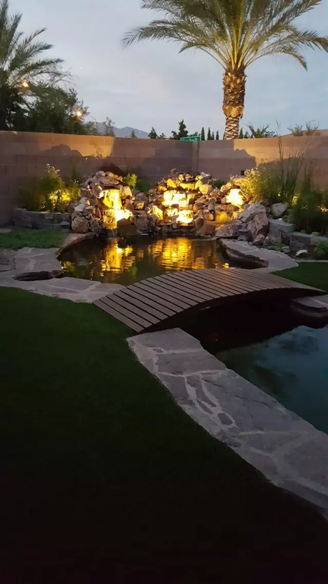 Advanced Aquascape