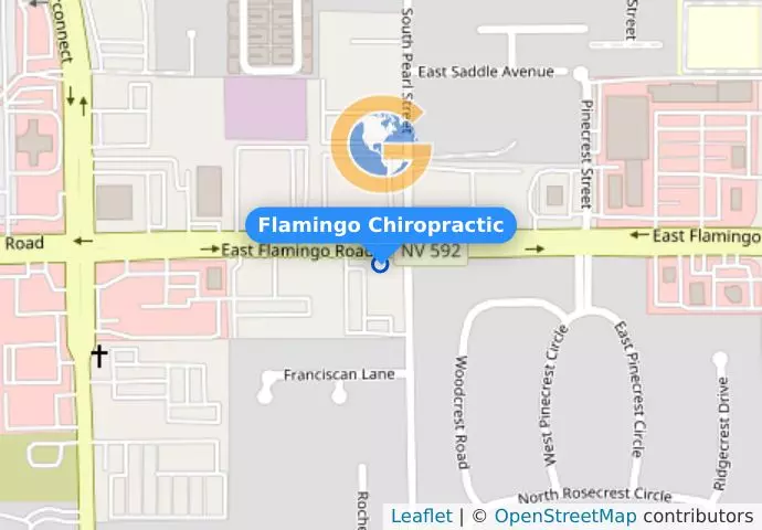 Flamingo Chiropractic