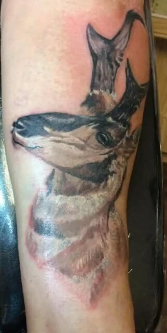 Artforms Tattoo