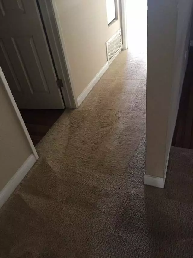 24/7 Carpet & Floor Care