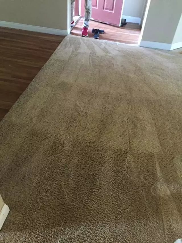 24/7 Carpet & Floor Care