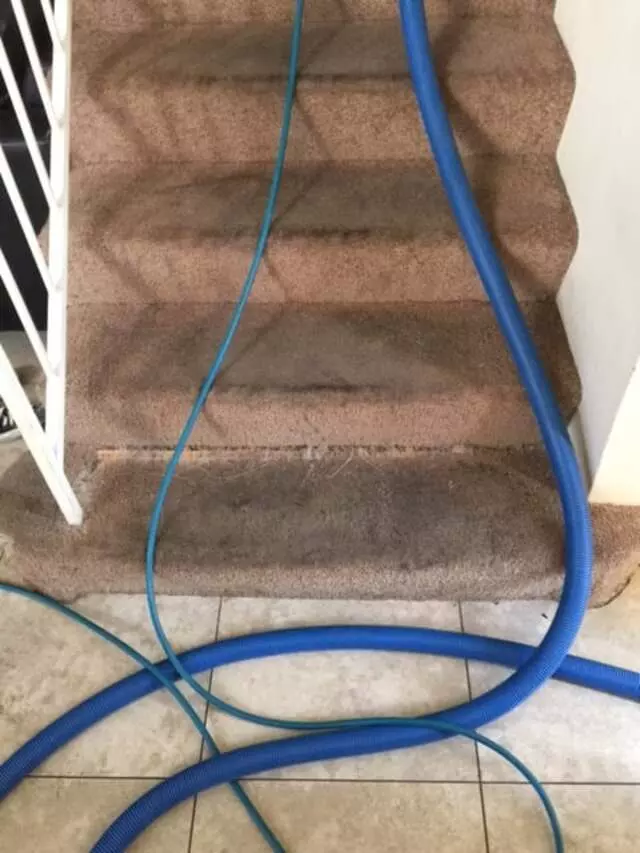 24/7 Carpet & Floor Care