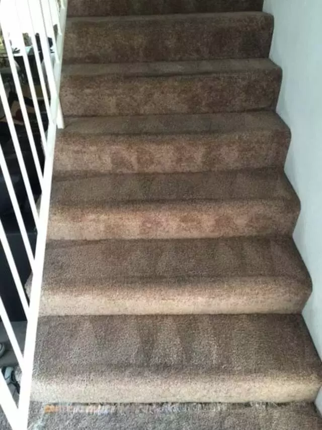 24/7 Carpet & Floor Care