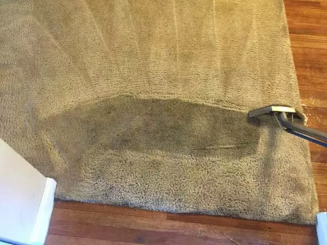 24/7 Carpet & Floor Care