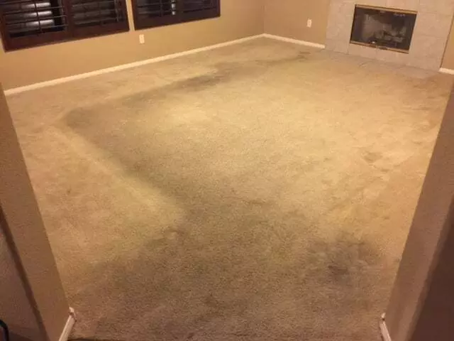 24/7 Carpet & Floor Care