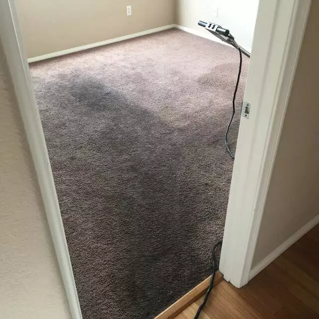 24/7 Carpet & Floor Care