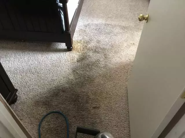 24/7 Carpet & Floor Care