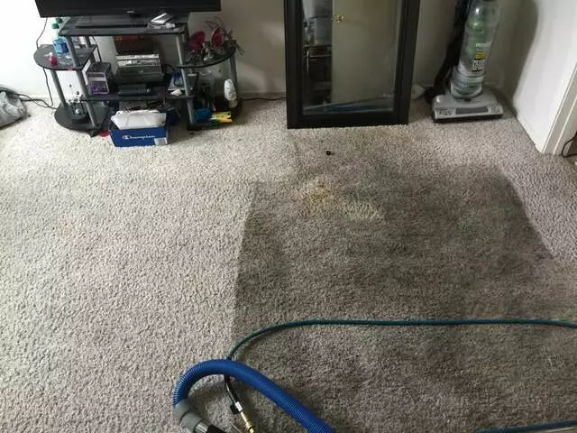 24/7 Carpet & Floor Care