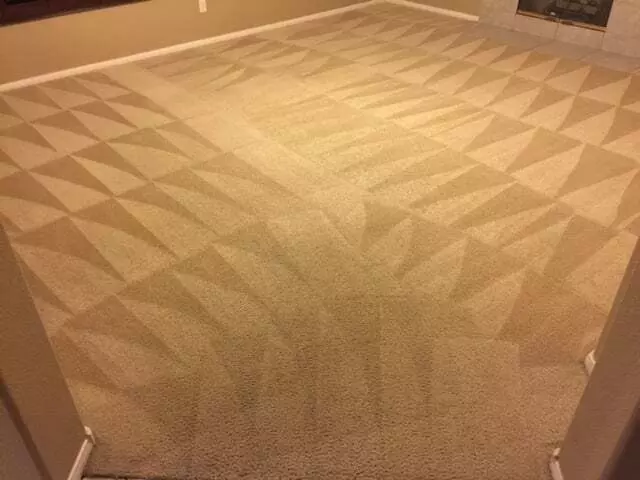 24/7 Carpet & Floor Care