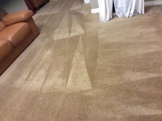 24/7 Carpet & Floor Care