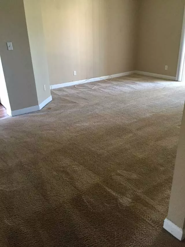 24/7 Carpet & Floor Care