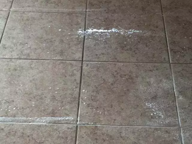 24/7 Carpet & Floor Care