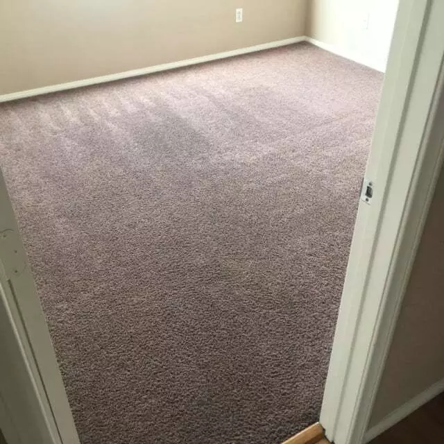 24/7 Carpet & Floor Care