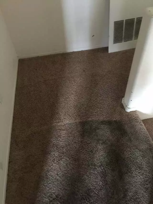 24/7 Carpet & Floor Care