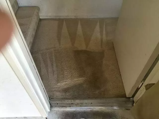 24/7 Carpet & Floor Care