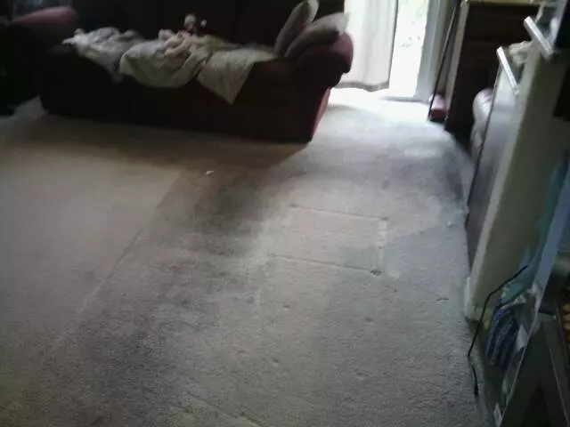 24/7 Carpet & Floor Care