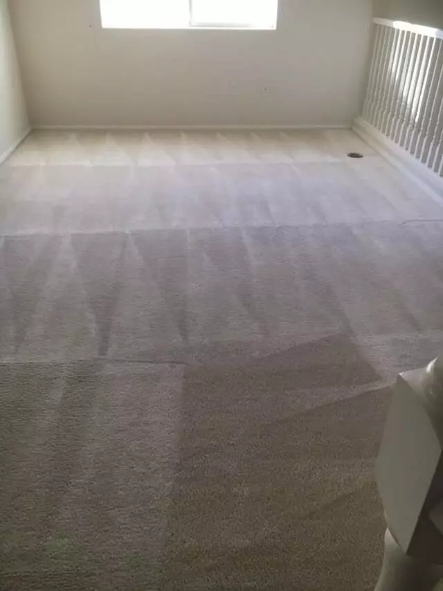 24/7 Carpet & Floor Care