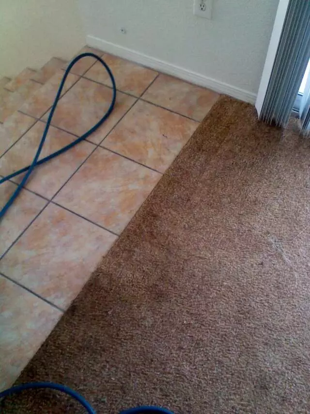 24/7 Carpet & Floor Care