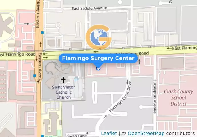 Flamingo Surgery Center