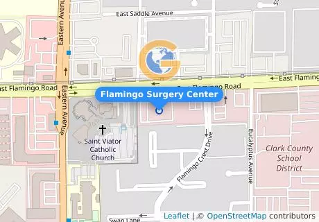 Flamingo Surgery Center