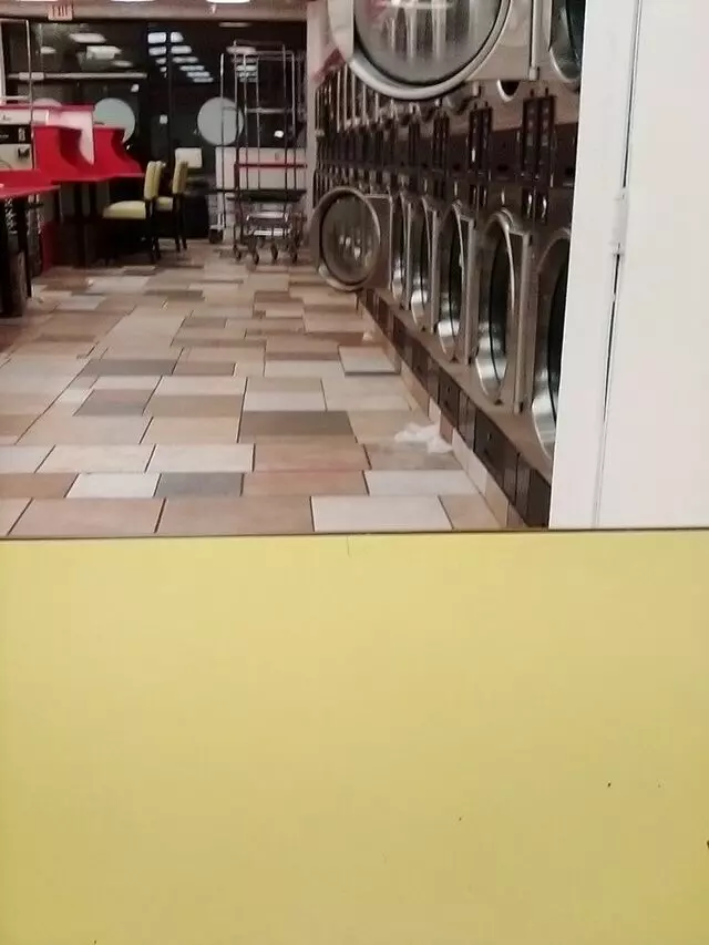 Zapatas Laundromat